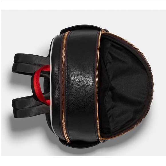 Coach Court Backpack With Tiger Print - Picture 3 of 11